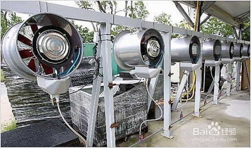 玻璃廠車間高溫環境問題及拋光粉生產的綜合解決方案