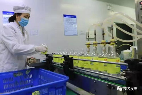 多方力量齊匯聚，保障茂名防疫物資供應(yīng)